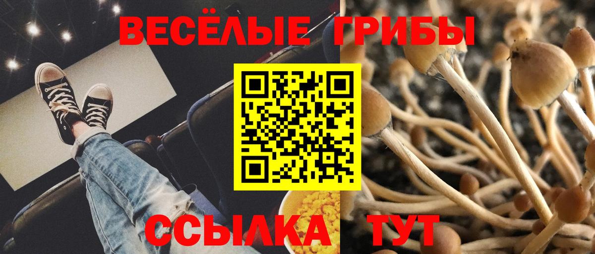 Галлюциногенные грибы GOLDEN TEACHER  Вход с VPN  Рославль 
